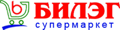 Bileg Logo